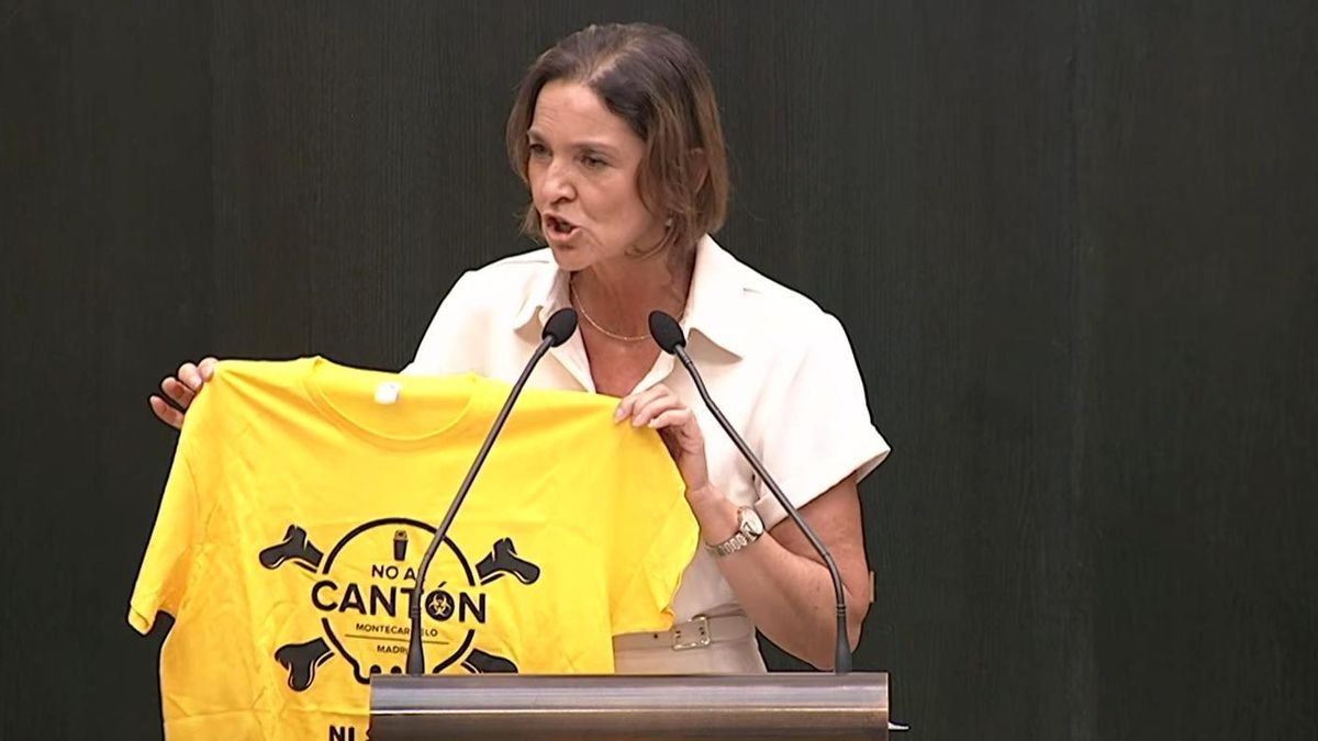 Reyes Maroto muestra una camiseta del movimiento 'No al cantón en Montecarmelo'