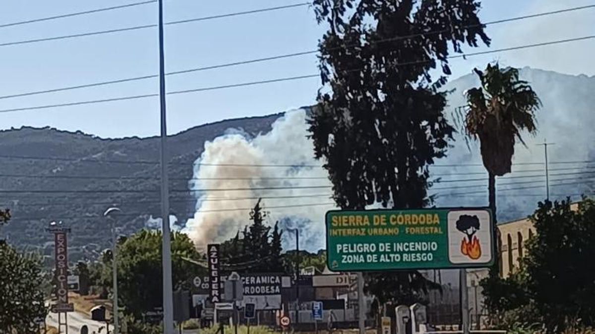 Detalle del incendio forestal.