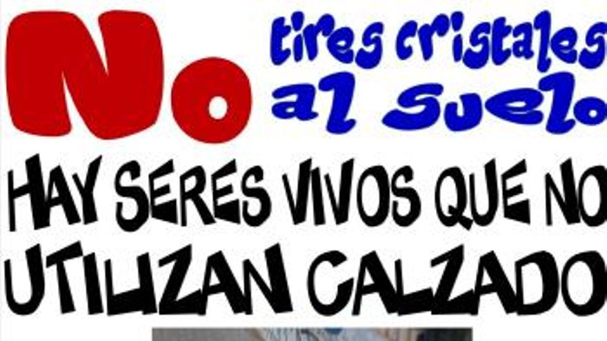 Campaña MasQPerros contra los cristales