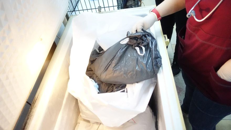 Hallan animales enfermos a la venta y 18 cadáveres en el congelador de una tienda de cachorros de Barcelona