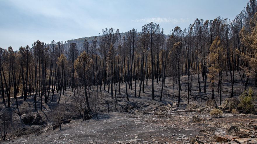 Sigue la desescalada en el incendio de La Mierla pero "la extinción completa tardará días"