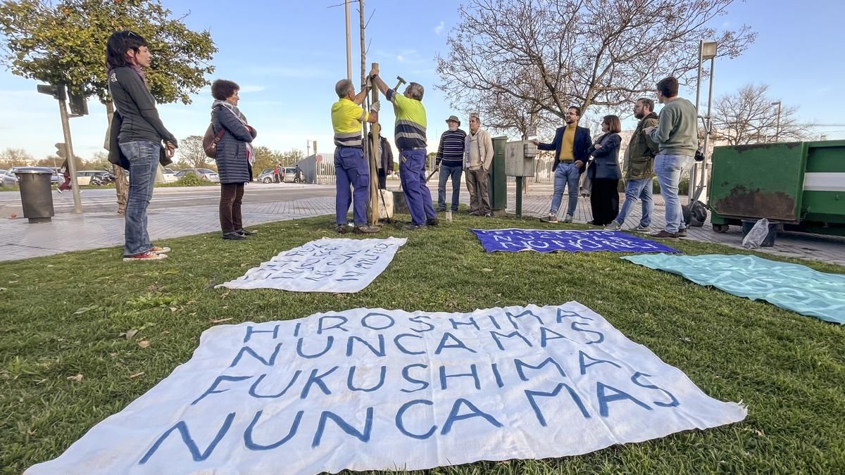 Plantación de un nuevo ginkgo en Miraflores y concentración al cumplirse 15 años del accidente nuclear de Fukushima