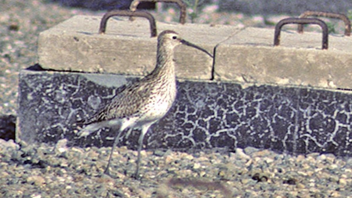 La última foto fue tomada en suelo marroquí