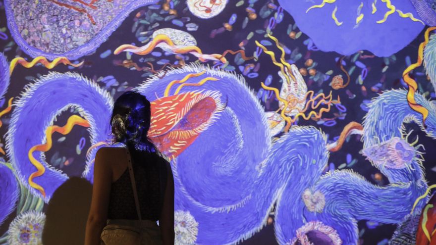 'Ciencia Fricción': una exposición para ampliar los límites de nuestra imaginación científica