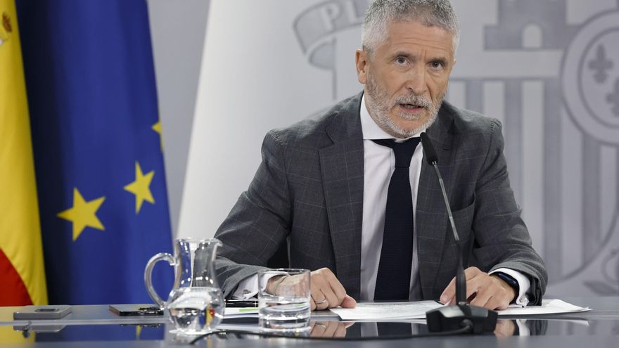 El ministro del Interior, Fernando Grande-Marlaska, en una imagen de archivo.-EFE/ Chema Moya