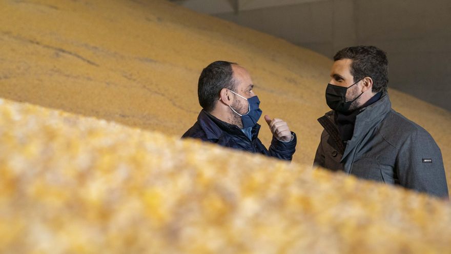 Casado charla con el candidato del PP a las elecciones catalanas, Alejandro Fernández, durante una de sus visitas a Catalunya.
