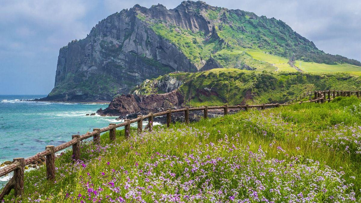 Jeju, la isla de Corea del Sur que acumula más reconocimientos de la UNESCO: volcanes, acantilados de lava y mujeres que bucean sin oxígeno