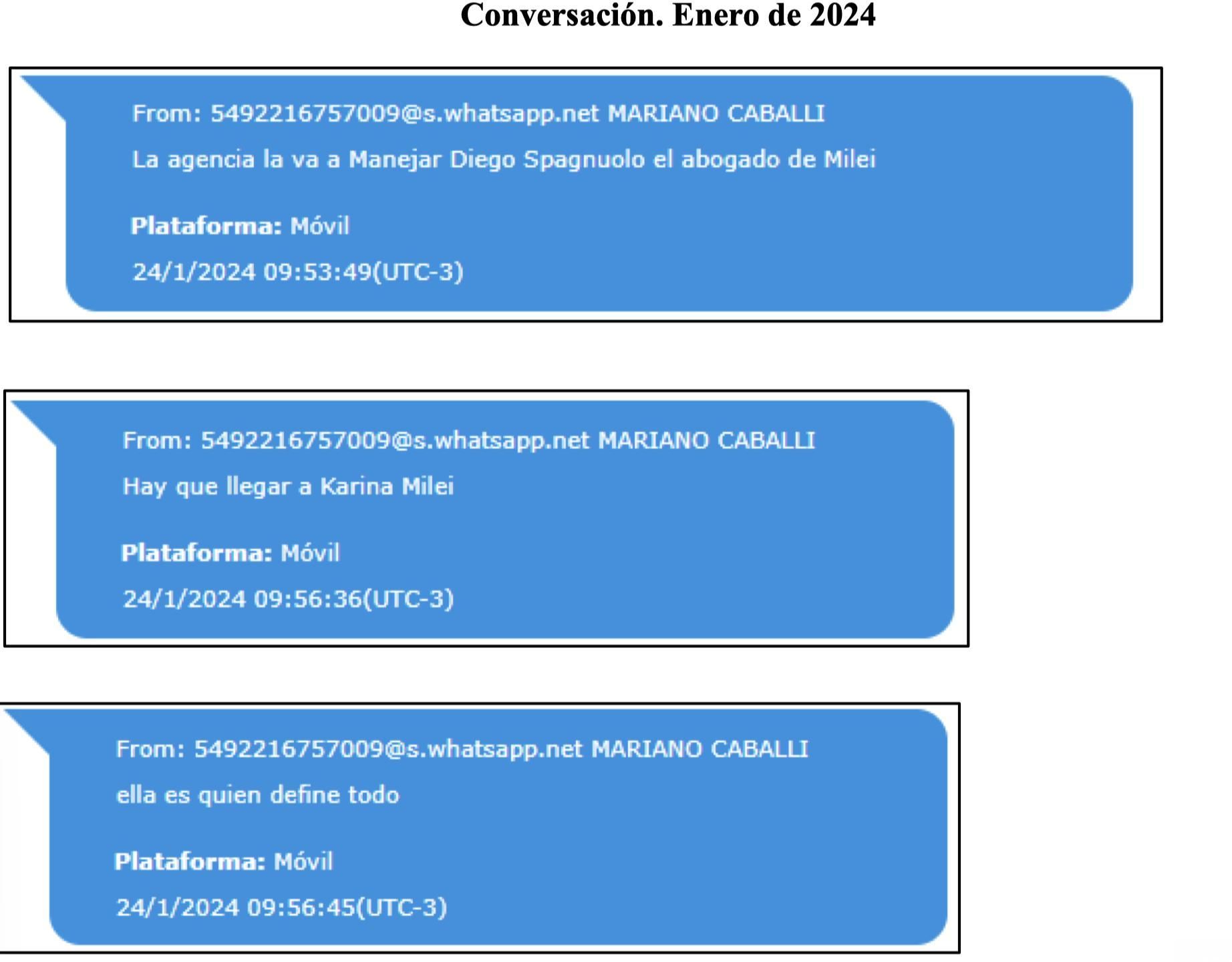 Los chats sobre Karina Milei.