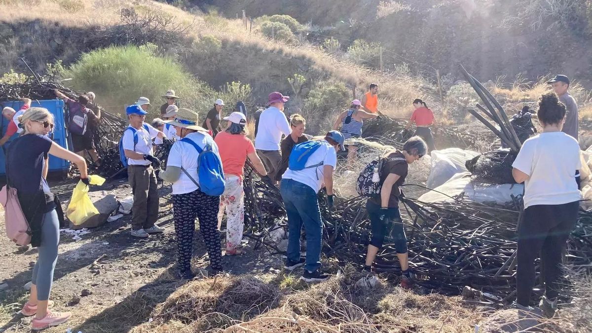 Imagen de archivo de una jornada de limpieza en El Remo del movimiento socioambiental Somos Una Ola.