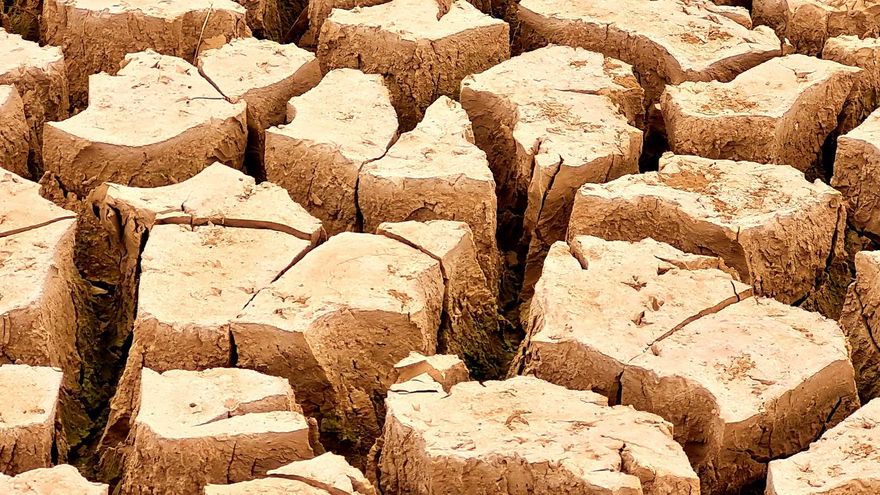 Consecuencias "catastróficas" para Extremadura si no se garantiza la campaña de riego, anuncia UPA-UCE