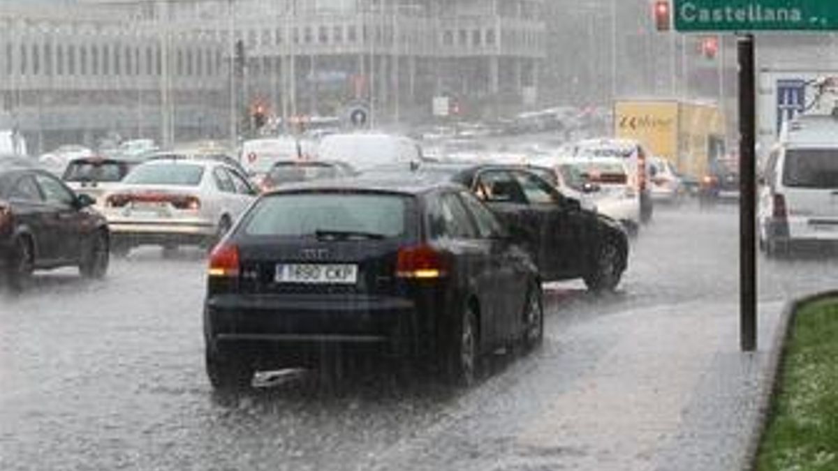 Aviso serio al hormigón: el musgo absorbe 20 veces su peso y frena acumulaciones de agua en zonas críticas
