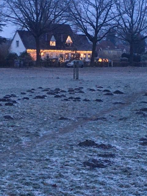 De regreso a casa, los topos siguen su labor y las casas se iluminan navideñas.