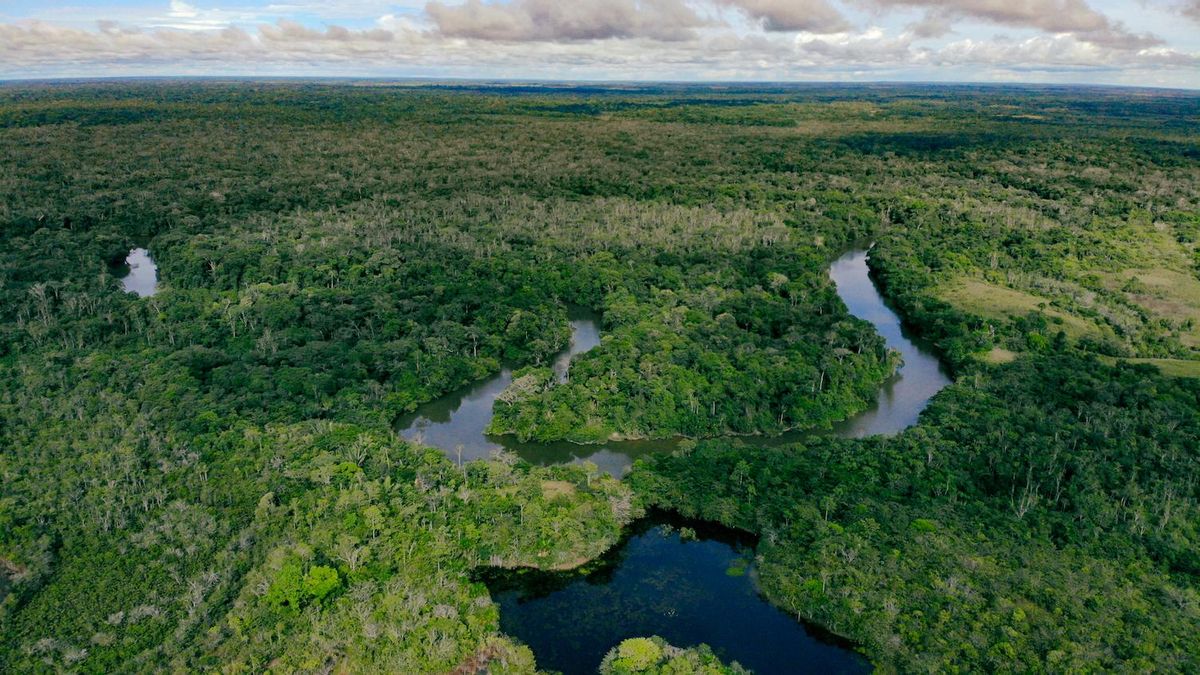 El Parque Nacional Natural La Paya fue creado en 1984. Foto: cortesía Cristhian Alfonso Pimiento/Parques Nacionales
