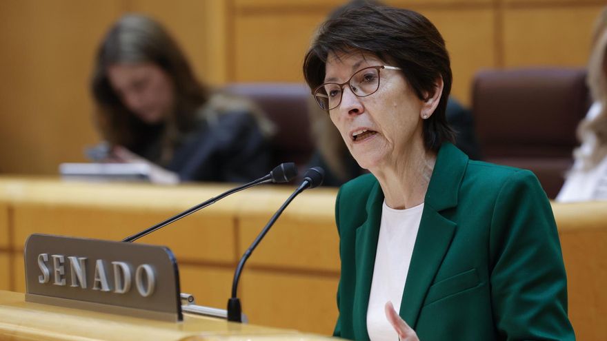 La senadora del PNV Estefanía Beltrán interviene durante el pleno celebrado este miércoles en el Senado. EFE/Zipi Aragón