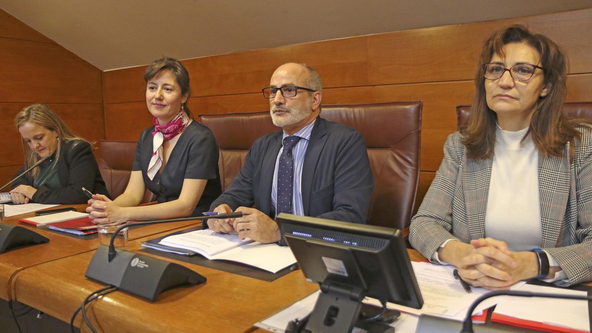 Comparecencia parlamentaria del consejero de Sanidad, Miguel Rodríguez. | NATALIA RASILLO