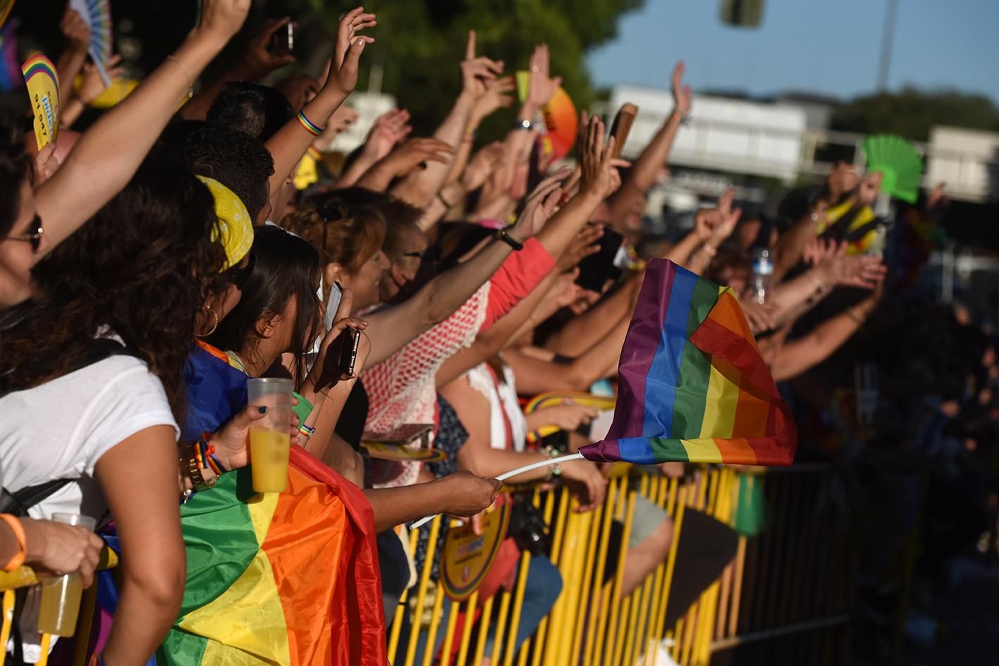 Miles de personas quisieron ver desde la primera fila el desfile de carrozas.