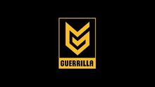 guerrilla games