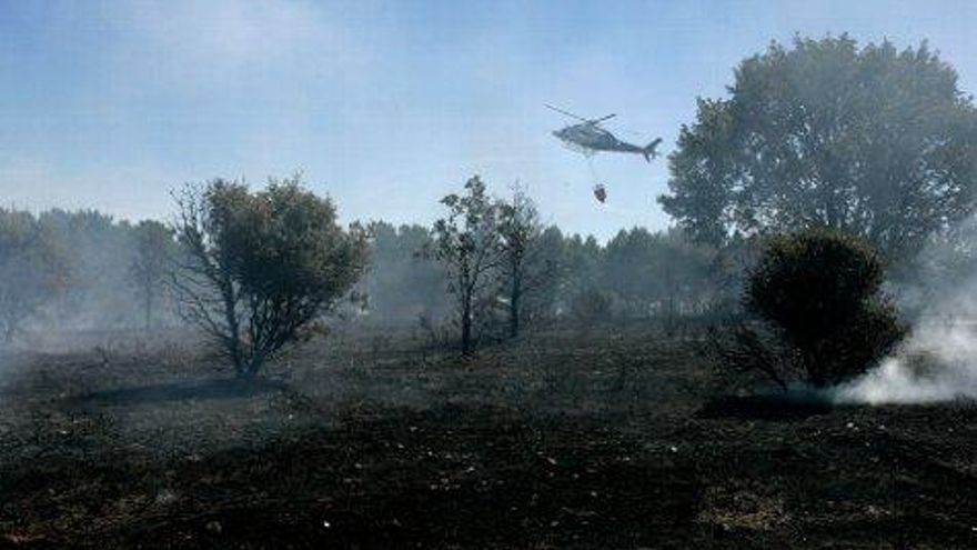 Carlos S. Campillo / ICAL Varios vecinos de la urbanización 'Los Siseros' de Villaquilambre, colaboran en la extinción del incendio originado en los alrederores de sus viviendas