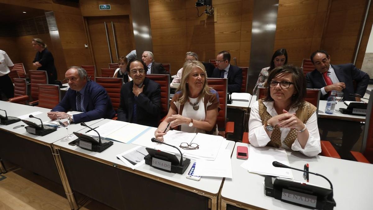 Un exgerente del PSOE niega la condonación de deuda a este partido y asegura que no tenía otra autoridad por encima