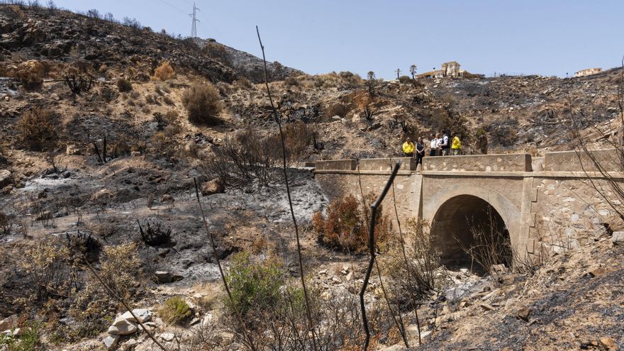 Controlado oficialmente el incendio de Los Gallardos en Almería que mató a 13 personas