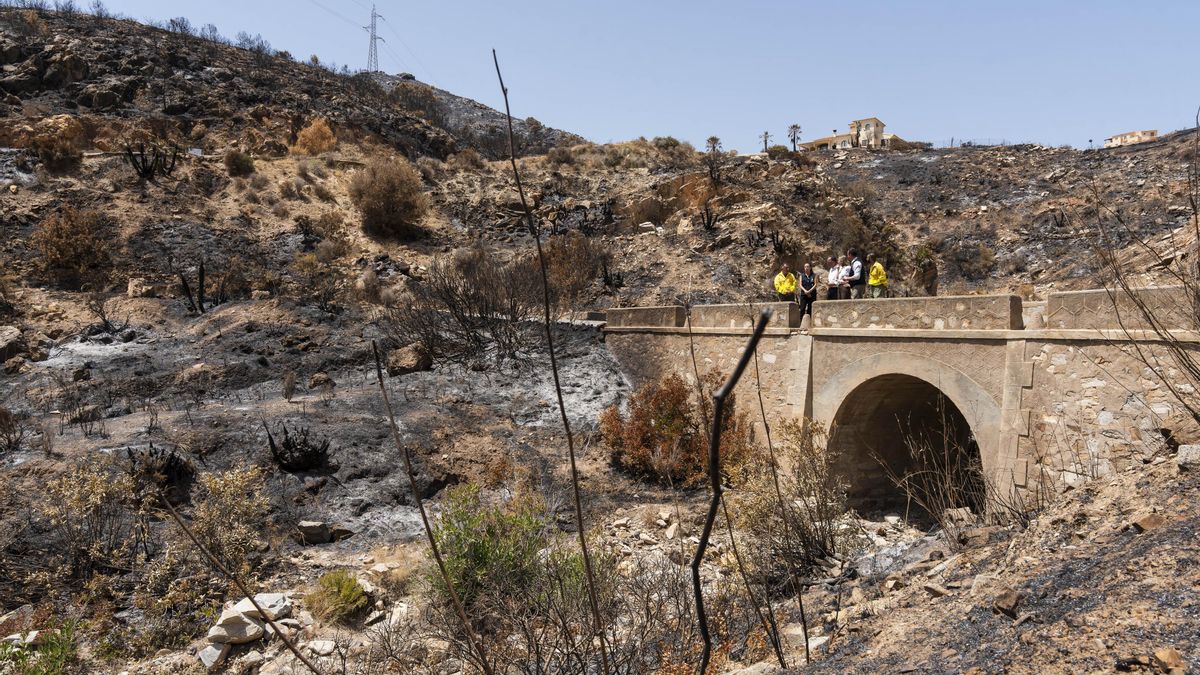 Controlado oficialmente el incendio de Los Gallardos en Almería que mató a 13 personas