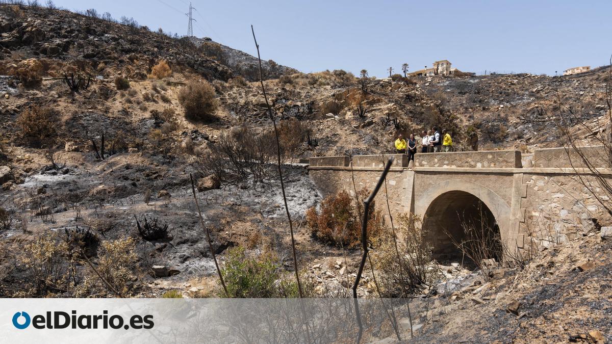 Deadliest Wildfire in Andalusia History Declared Under Control