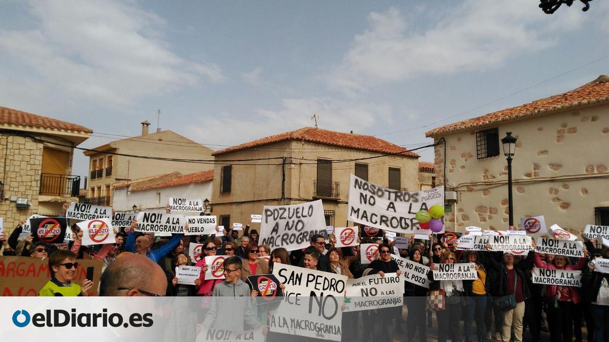 El Gobierno de Page desestima la macrogranja porcina proyectada en Pozuelo tras seis años de lucha vecinal