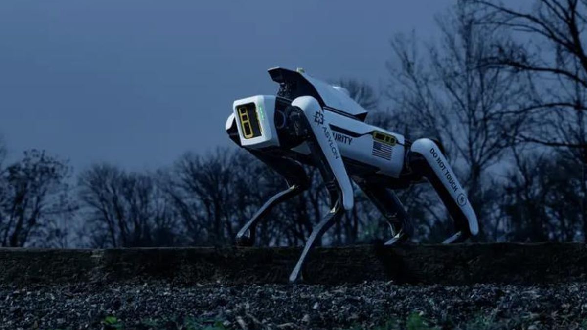 Los guardias de seguridad de toda la vida empiezan a ser sustituidos por perros guardianes robotizados