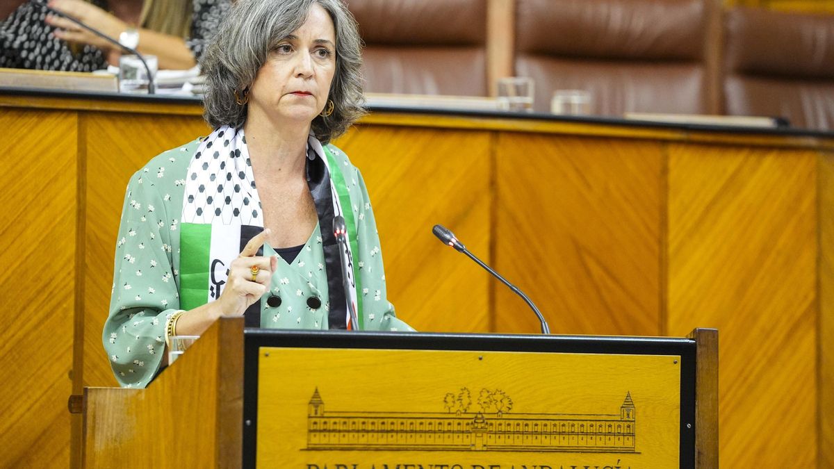 La diputada de Adelante Andalucía Begoña Iza interviene en el Pleno del Parlamento andaluz.