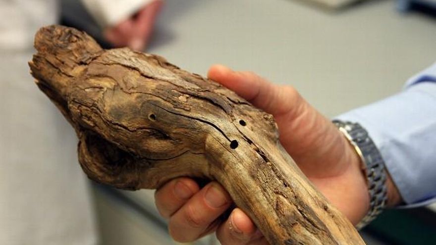 Peio García / ICAL Un sarmiento con daños producidos por insectos