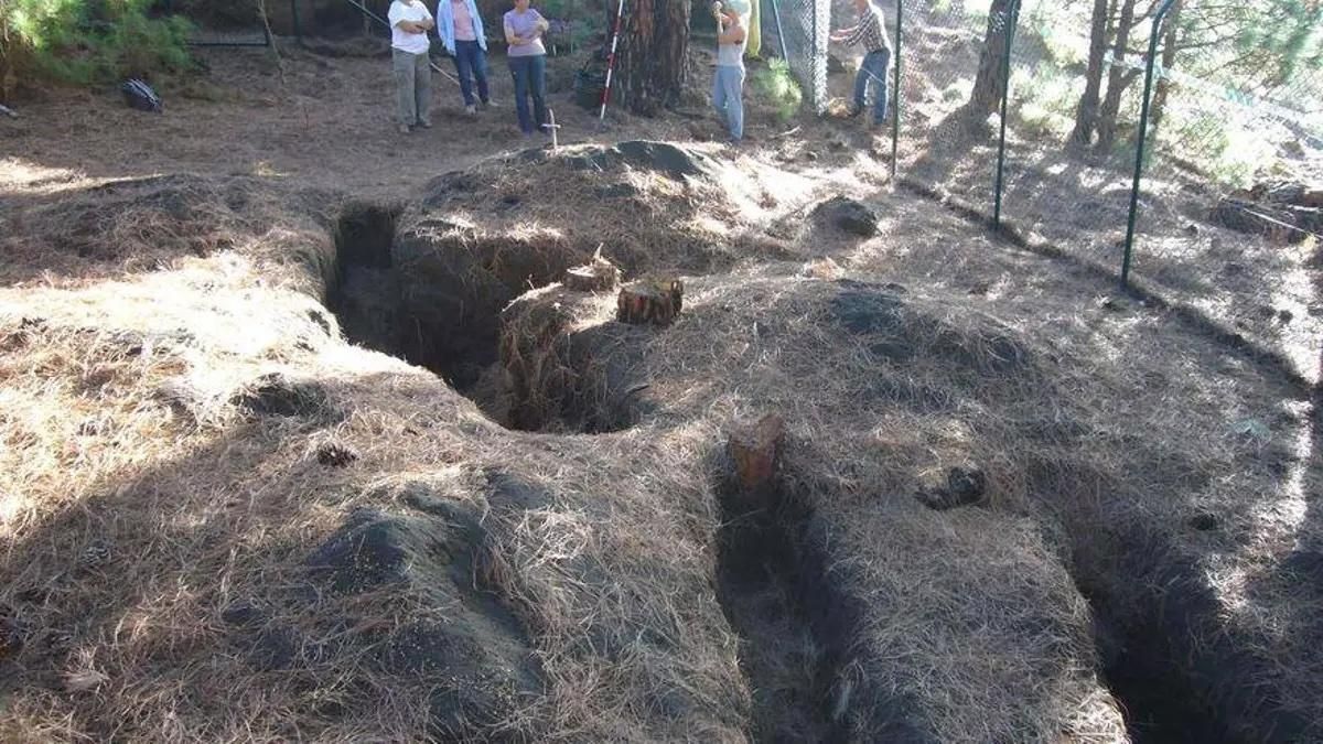 El Cabildo promueve el reconocimiento y homenaje a víctimas palmeras de la Guerra Civil y el franquismo