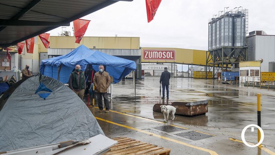 Trabajadores de Zumosol en Palma del Río