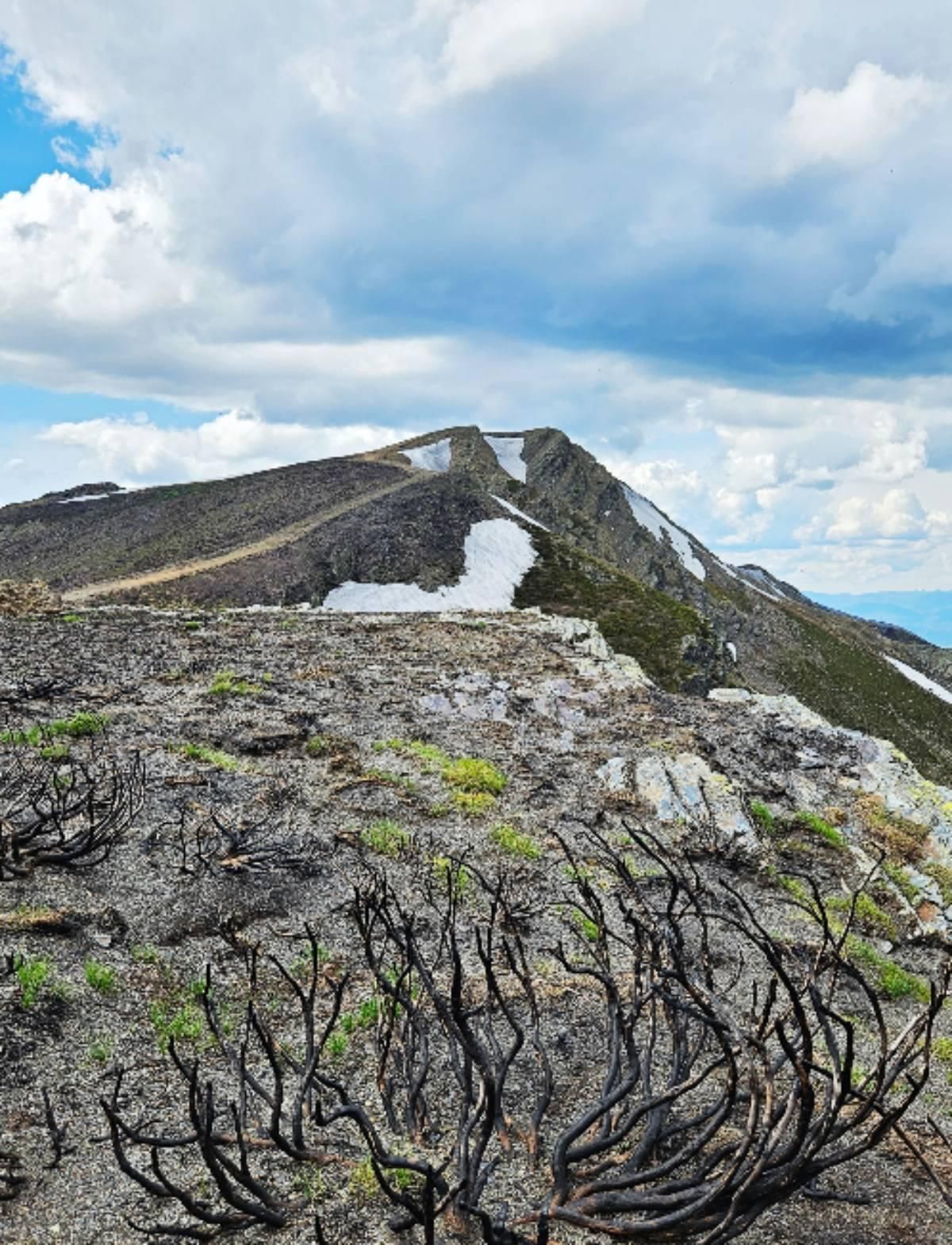 Pico Tuerto con la ladera quemada medio año después de los incendios de agosto de 2025.