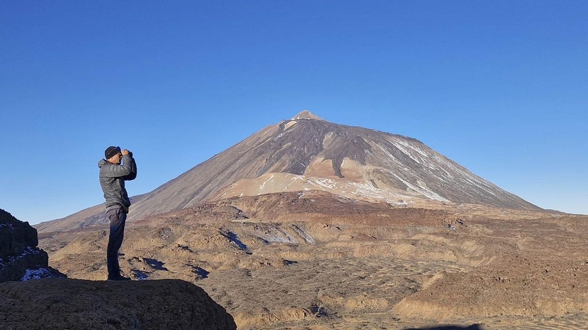 Ted's Cedar keeps centuries of history silent