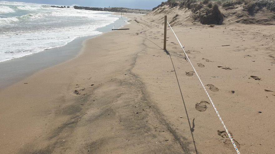 Capitanía Marítima impone 31 multas en dos años por vertidos ilegales de buques en la costa valenciana