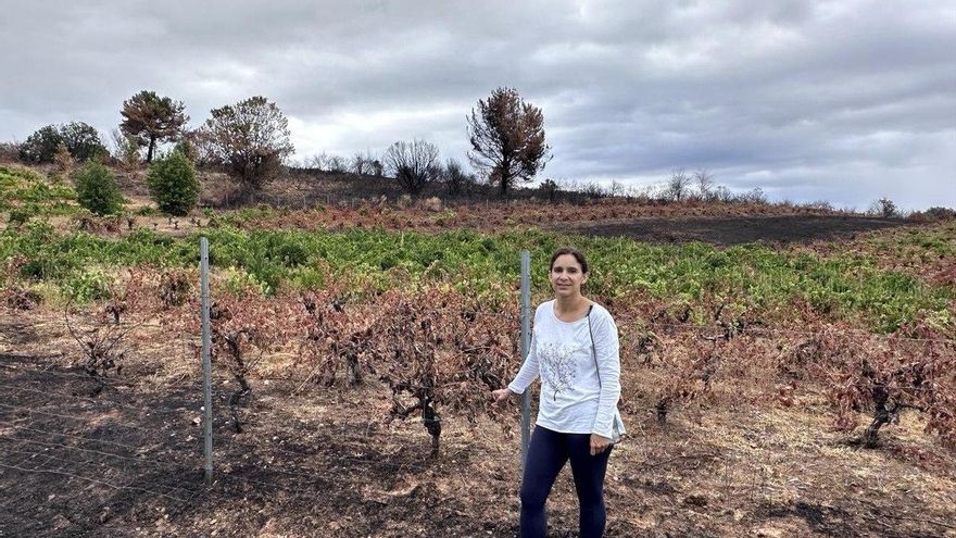 Vendimia entre cenizas en El Bierzo: el fuego golpea una bodega que recupera viñedos en un pueblo de 90 habitantes