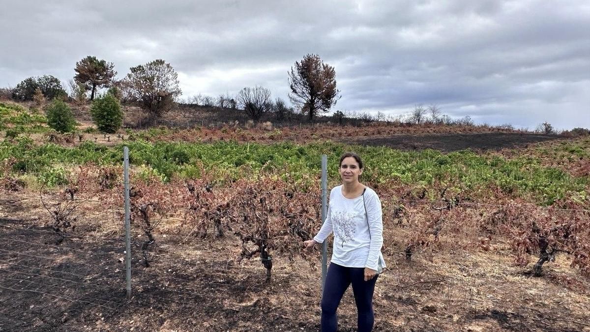 Silvia Marrao revisando sus viñas afectadas por el fuego antes de la vendimia 2026 de Banzao.
