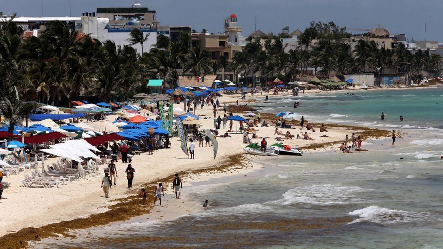 La llegada masiva de sargazo comienza en las costas mexicanas de Quintana Roo