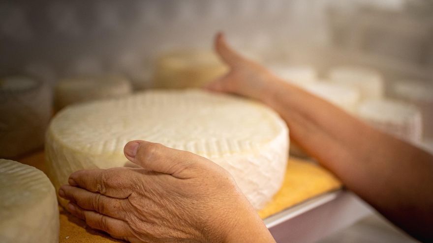 Los quesos canarios suman 38 Medallas en los World Cheese Awards 2023