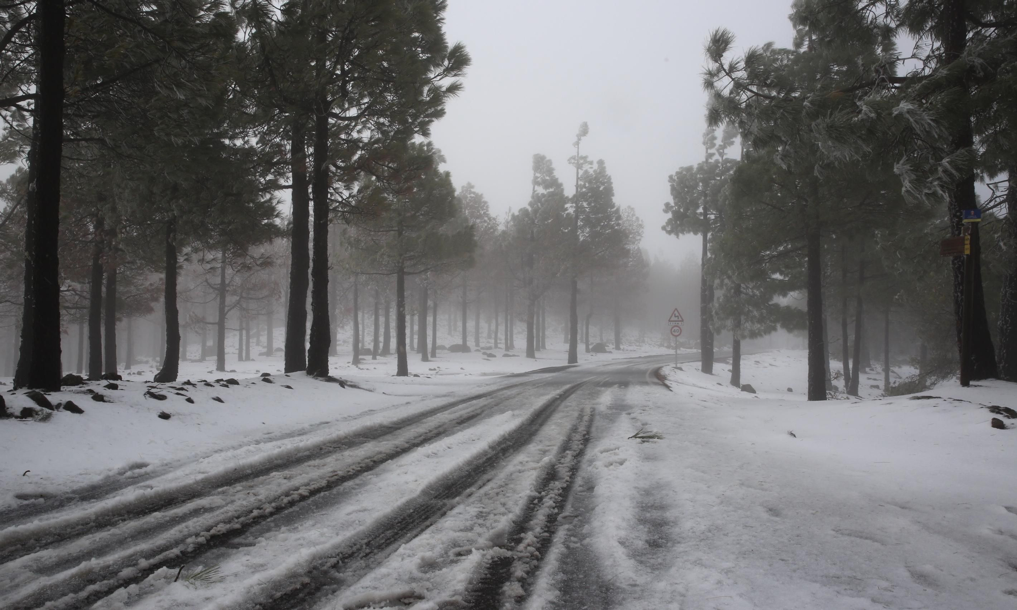 Alrededores del Pico de Las Nieves cubiertos de nieve