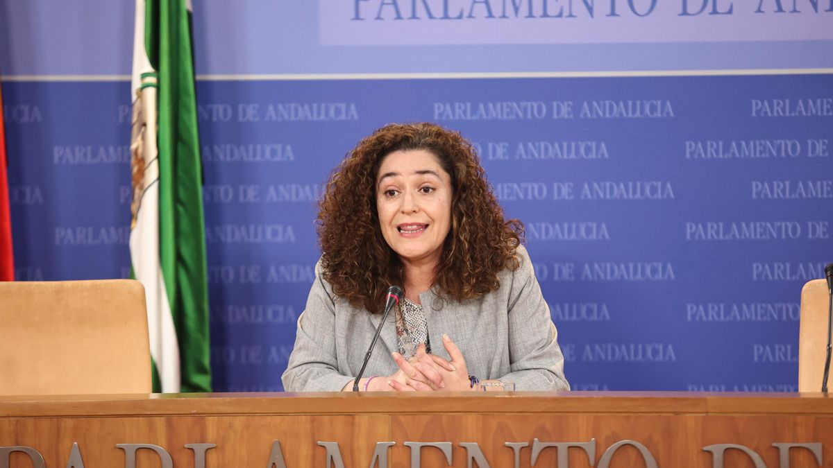 La portavoz parlamentaria de Por Andalucía, Inmaculada Nieto, en rueda de prensa en el Parlamento.