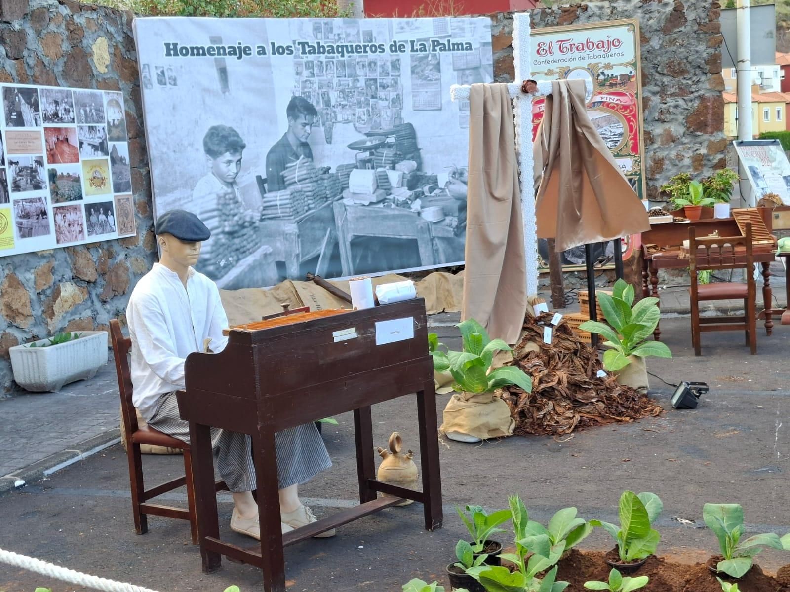 La Cruz de La Caldereta-Valle de la Luna recrea la cultura del tabaco en La Palma.