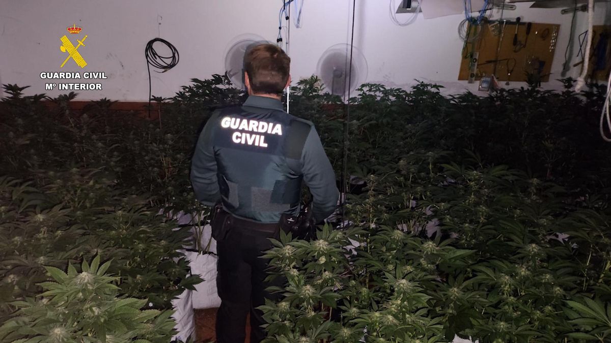 La Guardia Civil, con la marihuana hallada en Cerro Muriano.