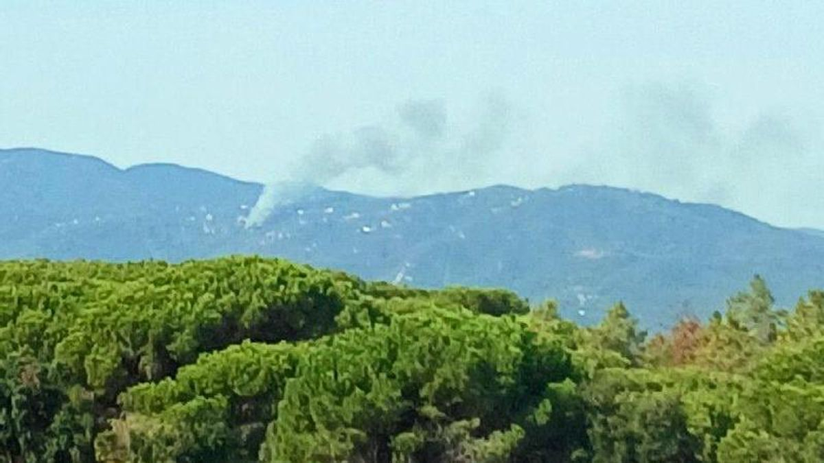 Confinadas las urbanizaciones de Can Camps y Roca-Rossa por un incendio forestal en Tordera (Barcelona)