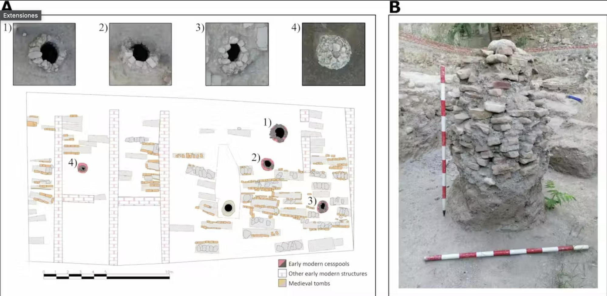Las muestras revelaron la extensión de los parásitos en la ciudad