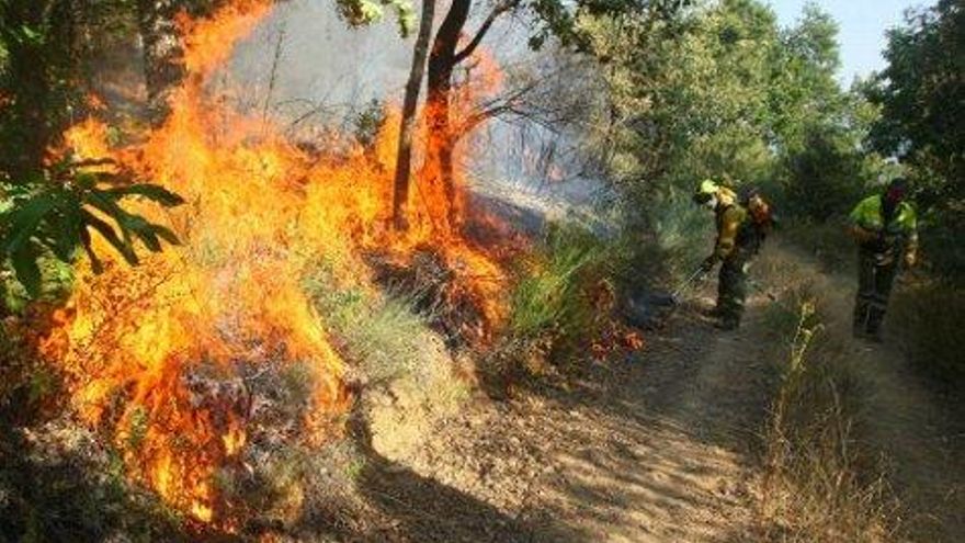 César Sánchez / ICAL Incendio en la localidad de San Juan de Paluezas, en el término municipal de Borrenes