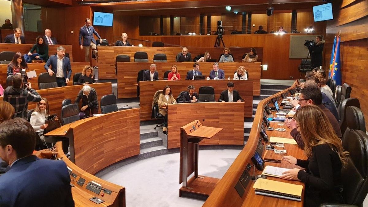 Dimite una diputada de Ciudadanos en Asturias tras votar distinto a sus compañeros ante los presupuestos regionales