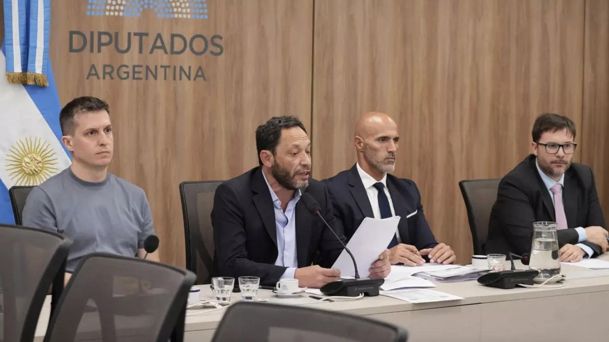 Maximiliano Ferraro, presidente de la comisión $LIBRA, lee las consecuencias de la investigación: concluye que Milei prestó una “colaboración imprescindible” para la estafa.