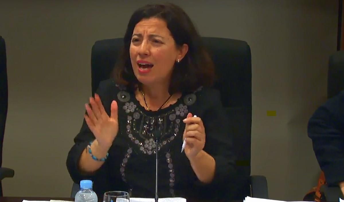 María Esther Seijas Villadangos, directora de la Cátedra de Parlamentarismo de la ULE.