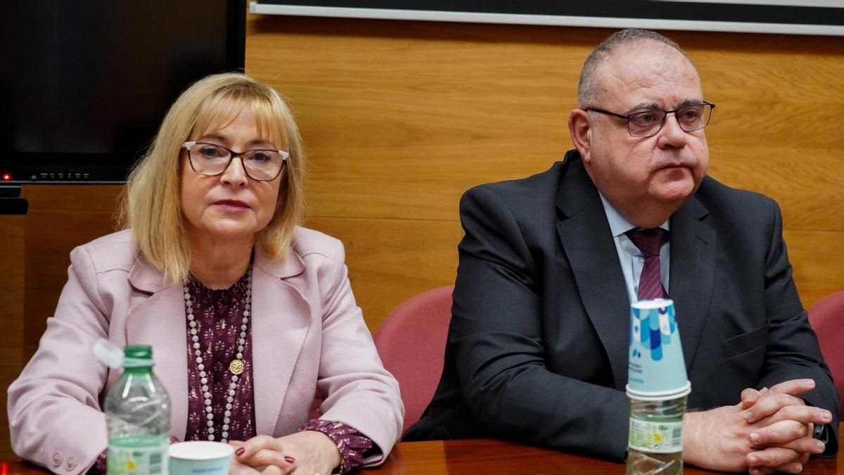 Una quincena de alcaldes de la comarca de Sahagún exigen la dimisión de la gerente de Atención Primaria de León